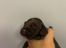 Cocker Spaniel Puppies