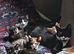 Stunning Kittens Ready for Loving Homes