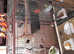 3 bengleas finches and tall cage