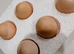 Silkie Hatching Eggs