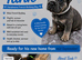 BEAUTIFUL KC FRENCH BULLDOG PUPPIES