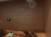 vivarium and accessories