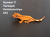Juvenile Crested Geckos with full Lineage