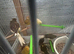 Canaries for sale