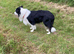 Really Beautiful Four Yr Old Male
