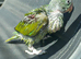 Handreared baby Alexandrian parrot