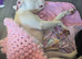 American bulldog cross