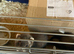 Micro Ferrets unrealated got together