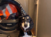 Male saluki puppies