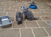 Stunning British shorthair girls