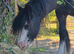 Tentatively looking for the right home for Ruby