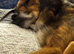 Retirement home needed for Huxley