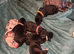 Great Dane Puppies. Merle/Mantle/Blacks