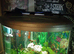 250 litre fish tank with heaters rocks pump