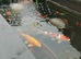 DJB POND FISH REHOMING