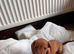 Mini dachshund