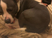 Rehome immediately x