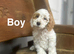 Rain beautiful boys and girl looking for a home