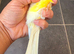 Very good quality Lancashire Canary