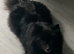 1 boy available