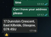 Indian Ringneck scammer