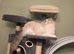 Registered Ragdoll 1y old