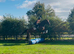 Gorgeous 16.1 gelding