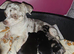 Beautiful babies Only 1 boy left