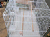 Cage setup