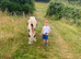 Jasper 2 year old gelding