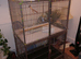 Large parrot carge