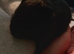 Guinea pigs