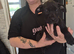 Cane corso cross presa canerio