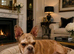 French bulldogs