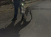 Lurcher