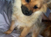 Winnie