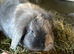 Adorable girl seeking home