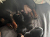 Male Miniature Dachshunds