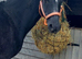 !WANTED! Pony/horse