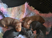 Miniature Dachshund puppies