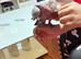 Baby galah Cockatoo