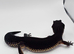 Pure Black Night female leopard Gecko