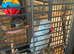 Blue/grey male ringneck and cage