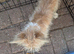 Lovely little boy needs a home
