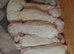 wonderful puppies