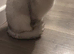 *y; Courtesy Sale - Beautiful British Shorthair Kittens Looking for Loving Homes