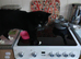 Rehoming my cat