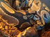 Bull python complete with viv set up