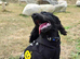 Will you give our Bella the beloved home she needs?