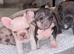 Beautiful bundles of joy